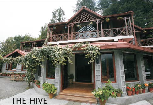 The Hive Cottage